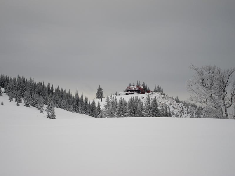 tirolerkogel